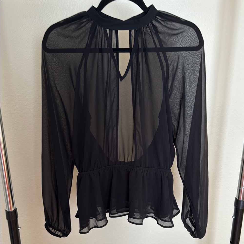 Express Black Sheer Long Sleeve Blouse